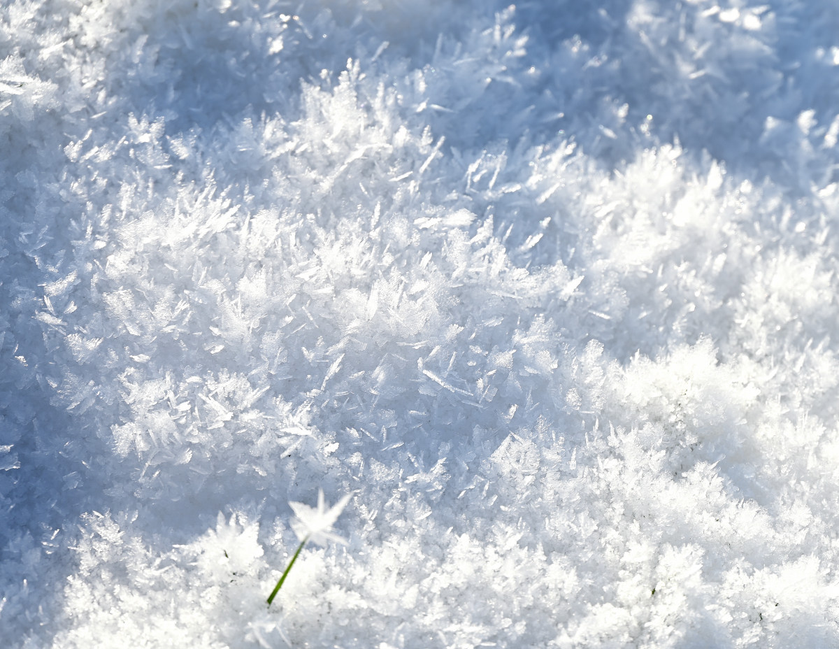 Winter-09.JPG