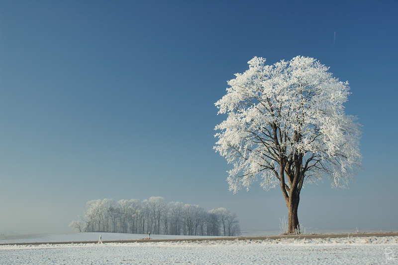 Winter 1