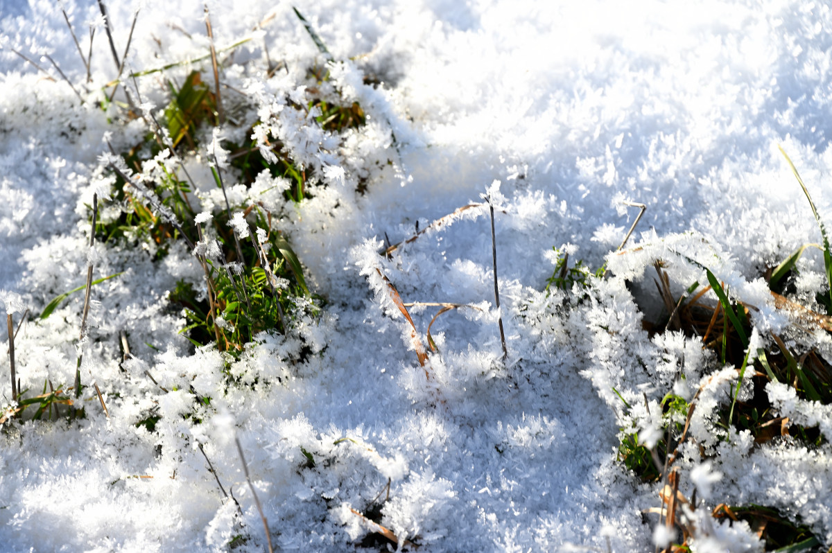 Winter-10.JPG