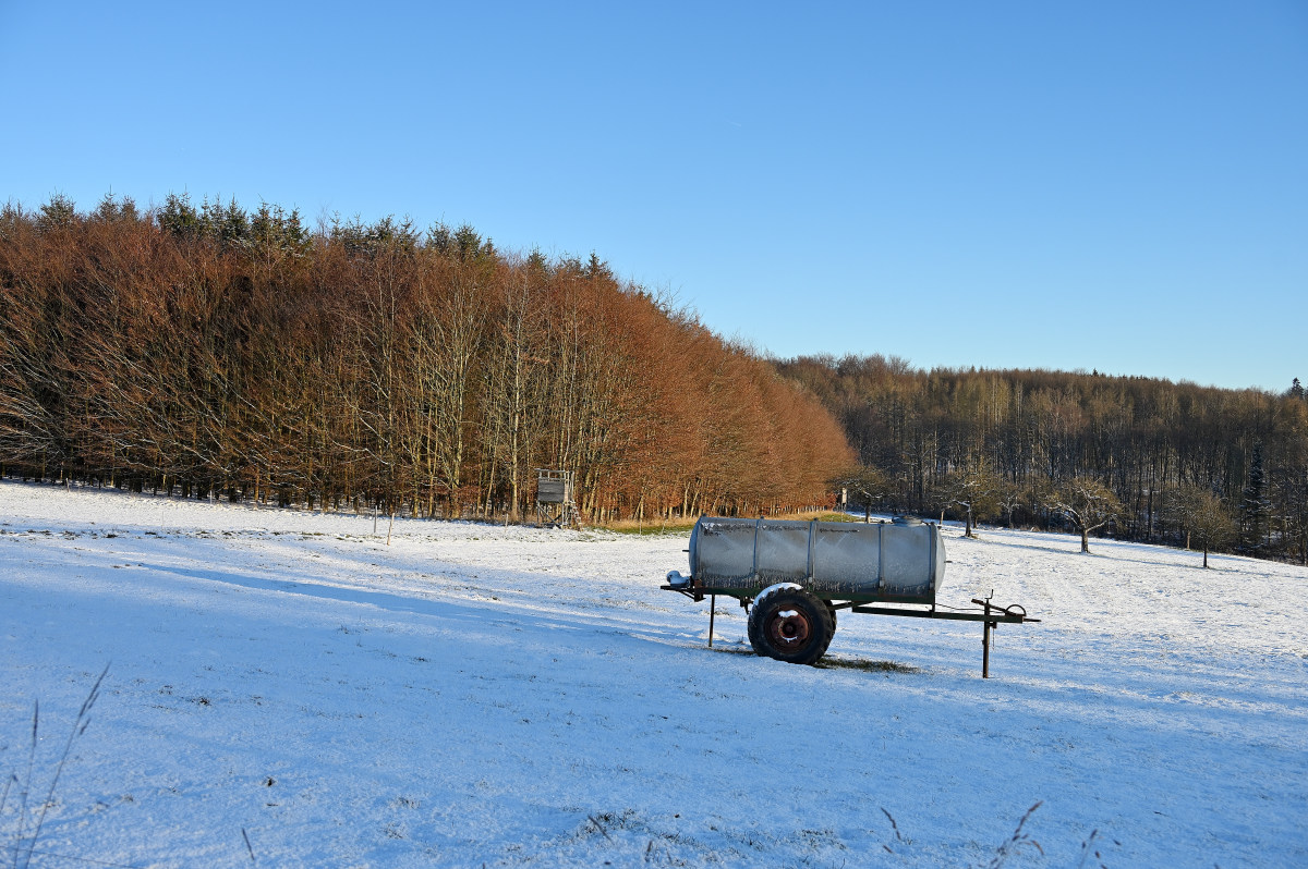 Winter-12.JPG
