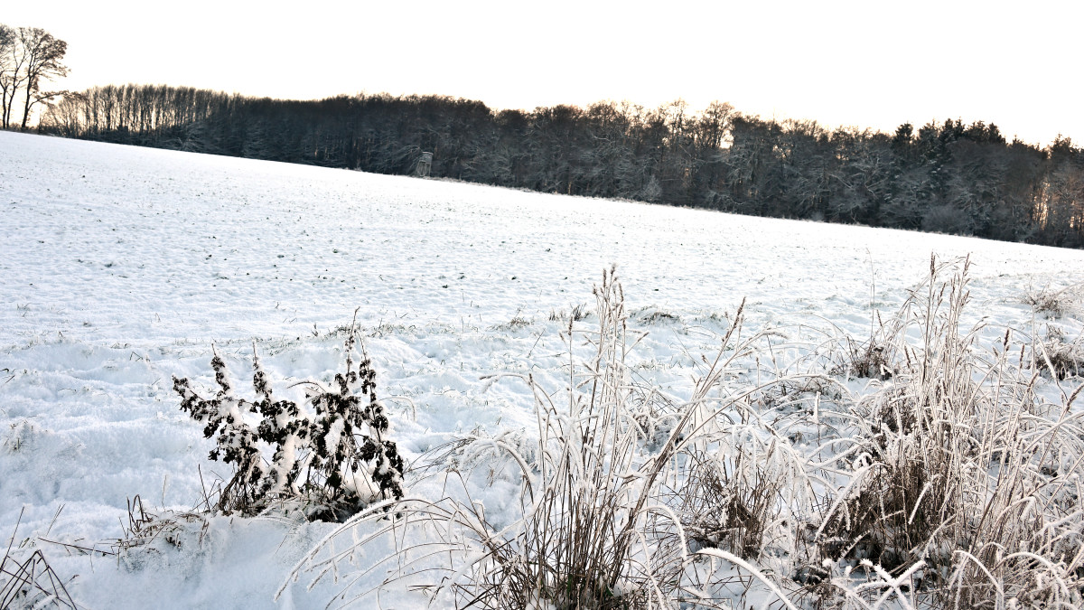 Winter-15.JPG