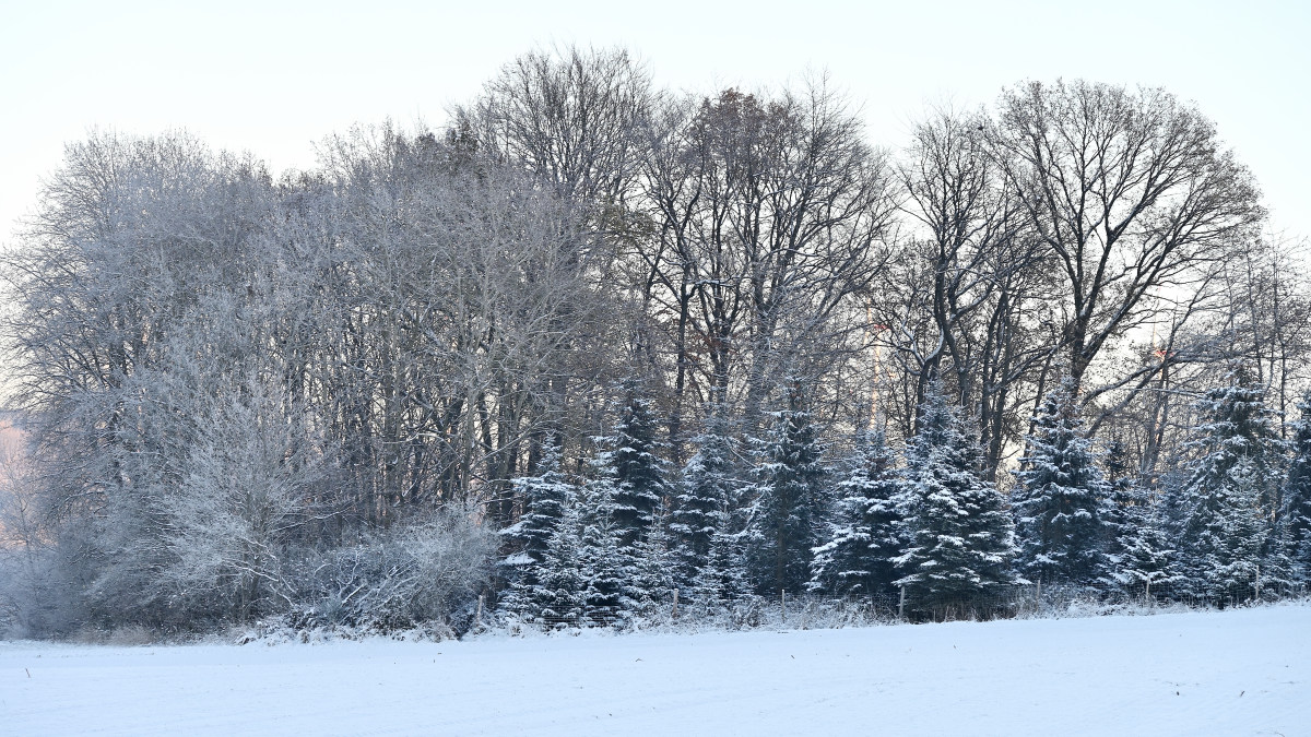Winter-17.JPG