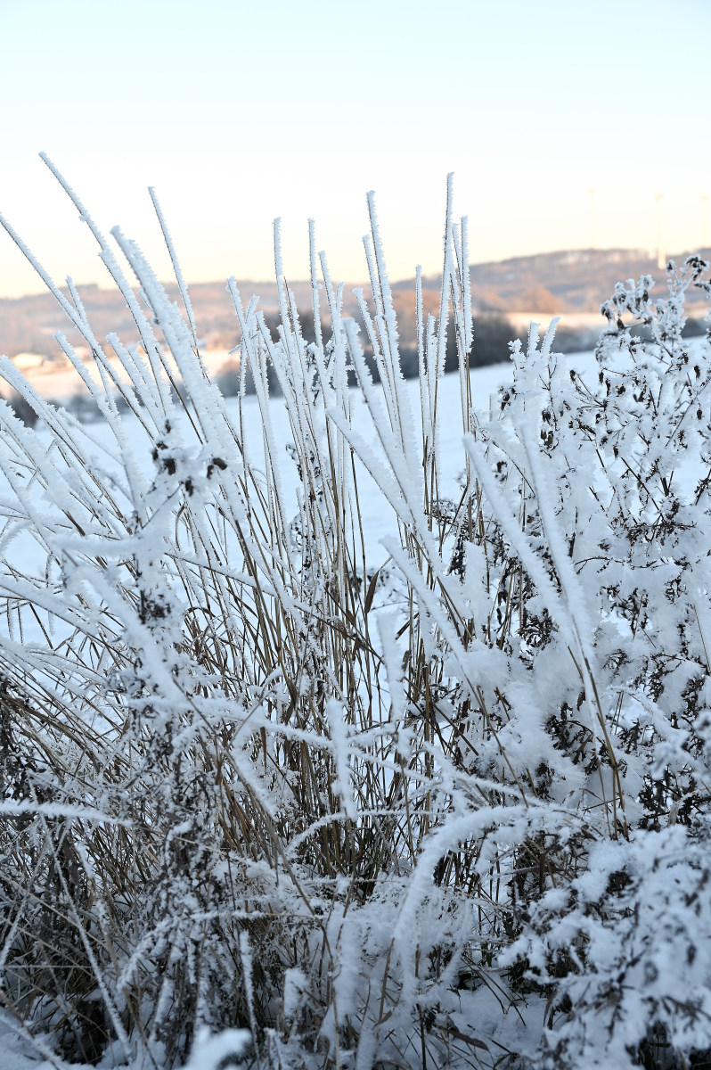 Winter-19.JPG