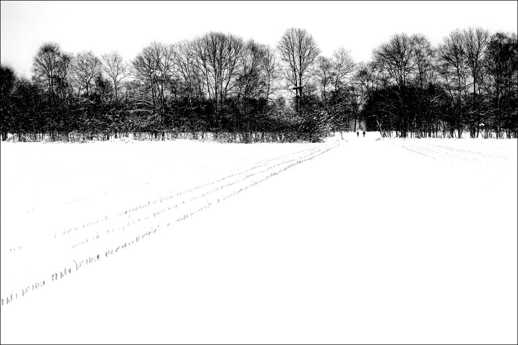 Winter - 2. Weihnachtstag 2010