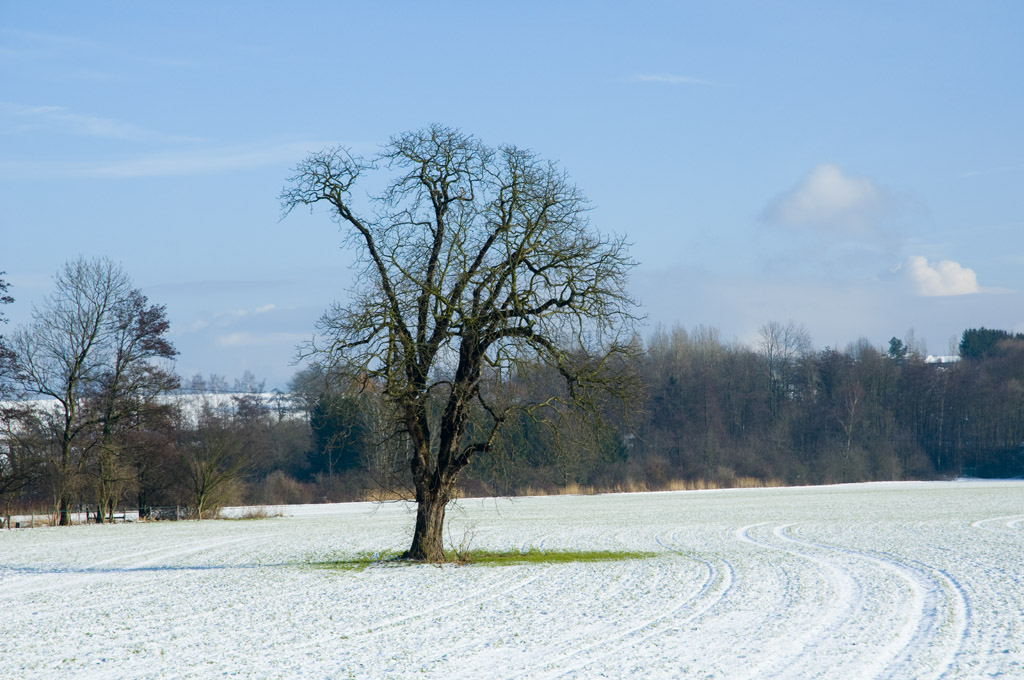 Winter 2010   01