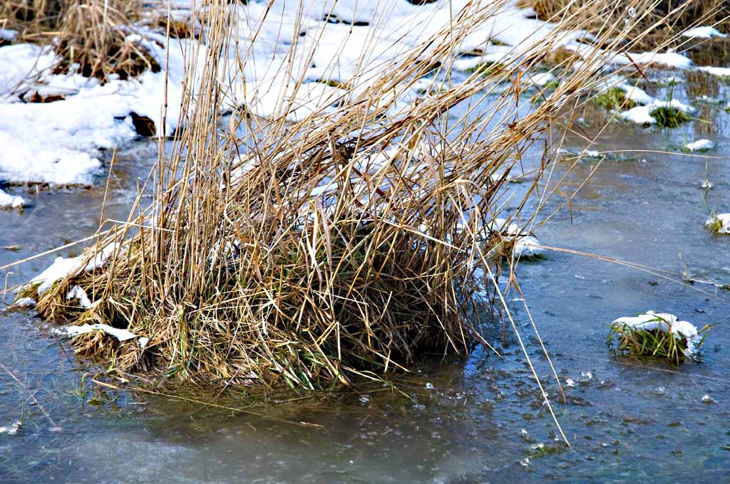 Winter 2010   05