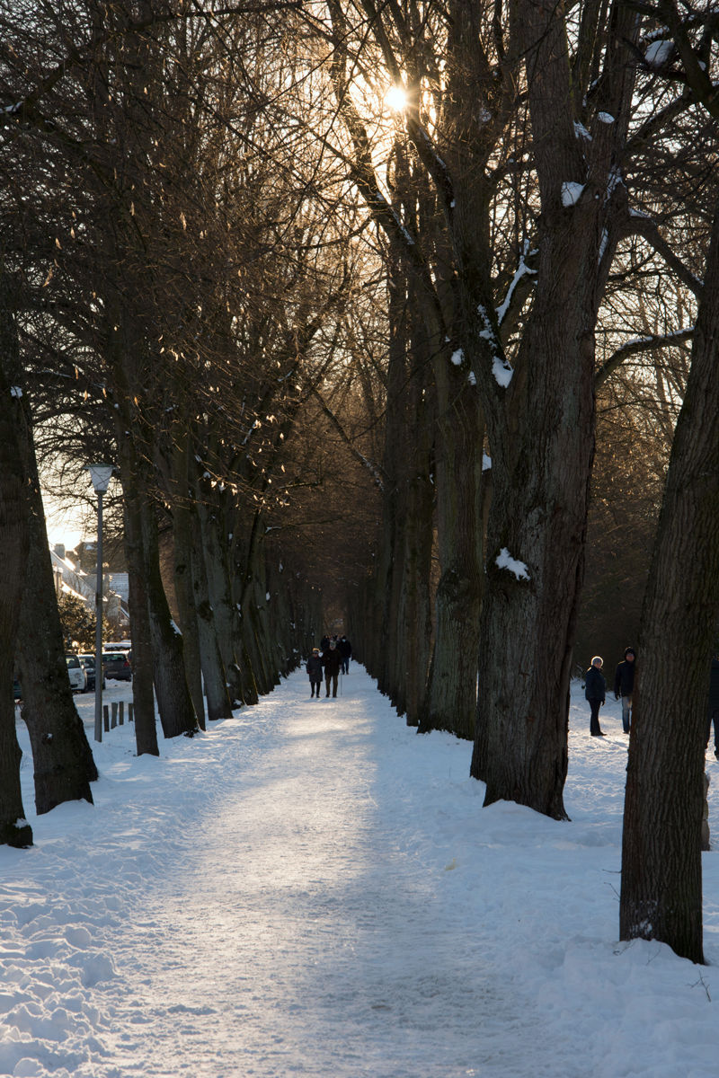 Winter-2021-108.jpg