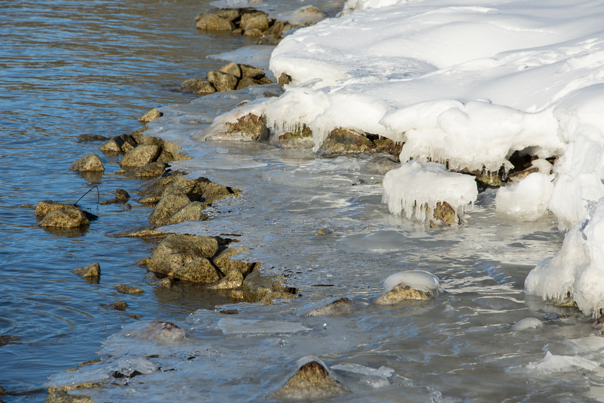 Winter-2021-69.jpg
