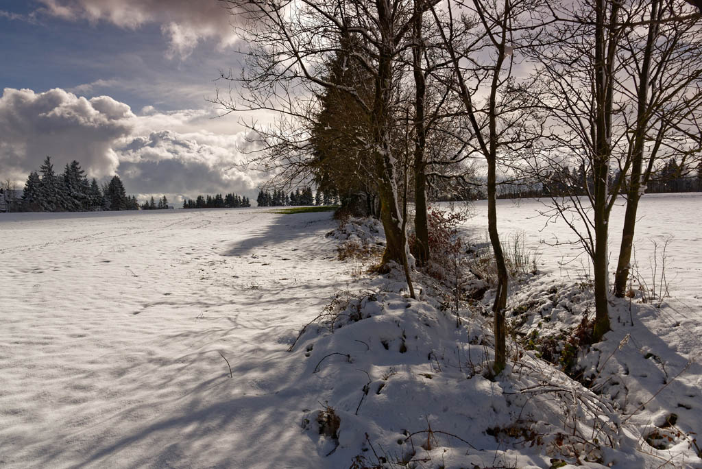 Winter 3143