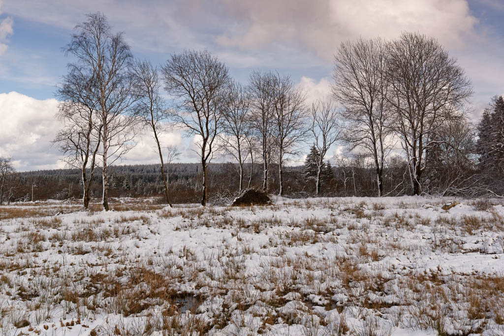 Winter 3161
