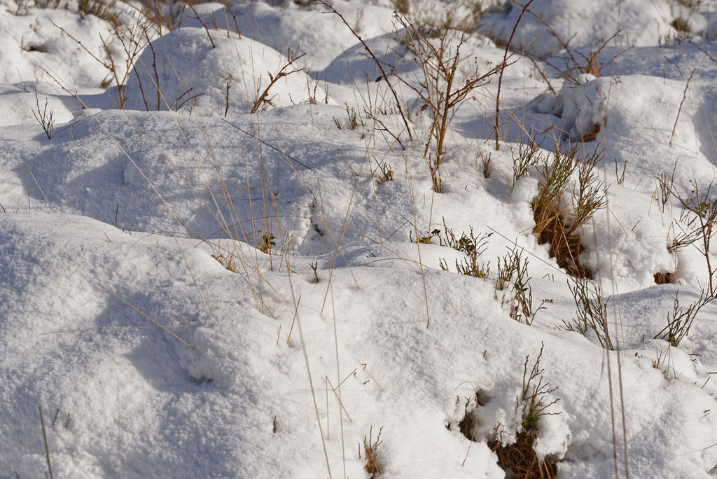 Winter 3180