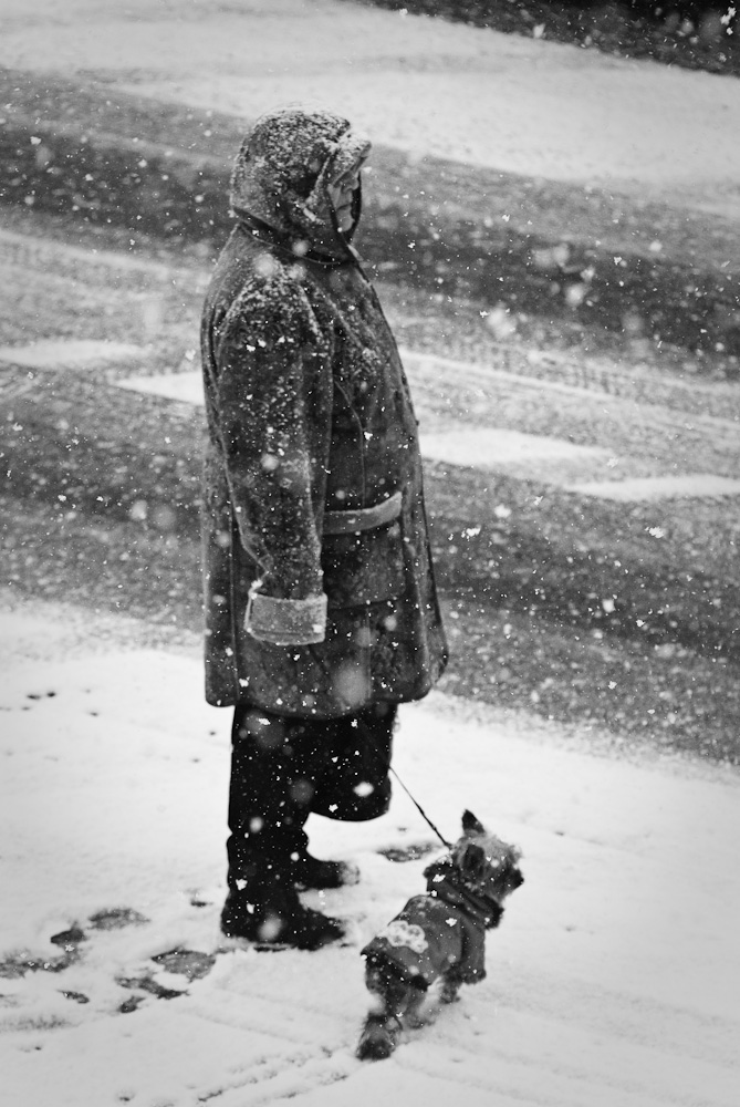 Winter... again!