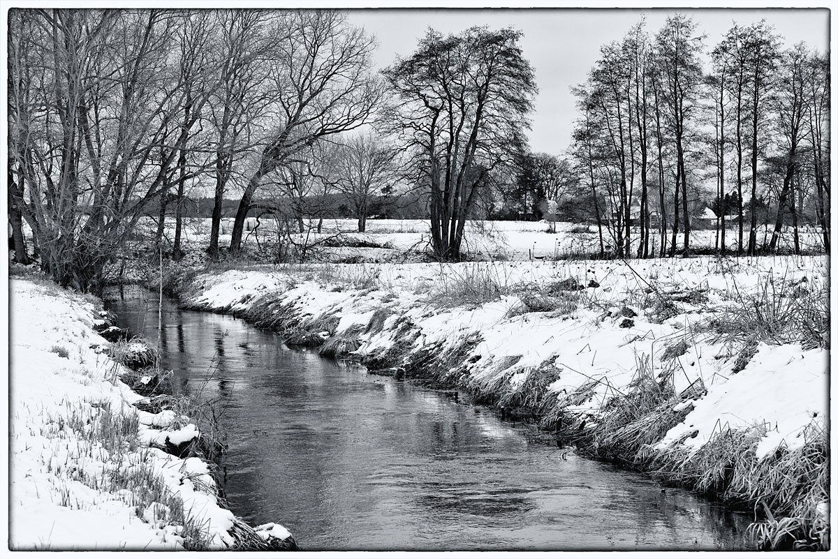 Winter Aue 3