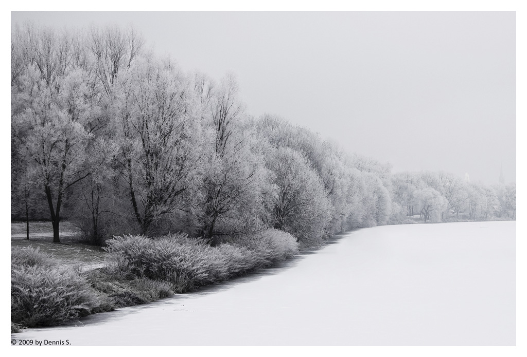 Winter BY DENNIS S