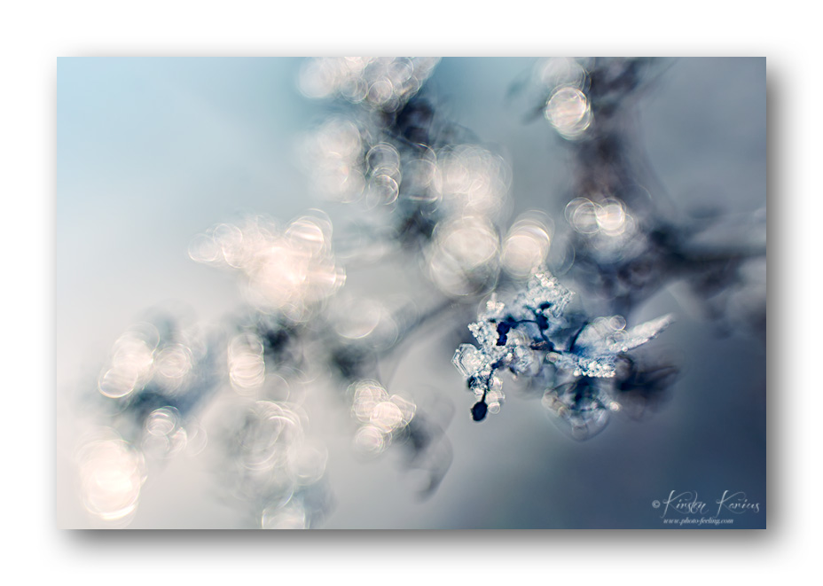 Winter-Color
