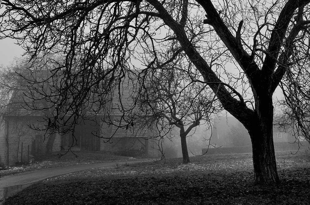 Winter im Dorf I