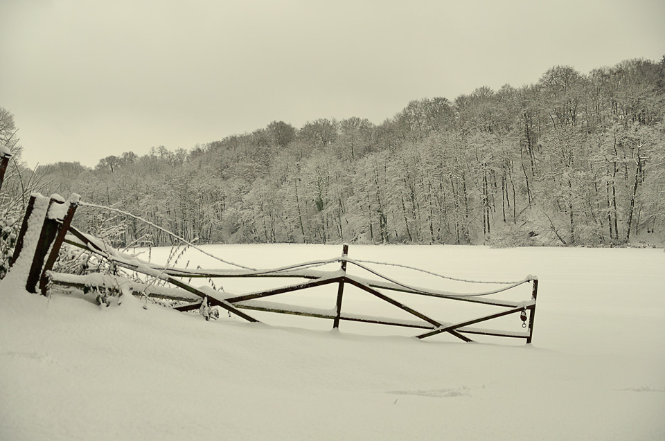 Winter im Neandertal