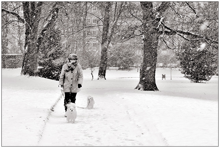 Winter im Schrevenpark - "Gassigehn"