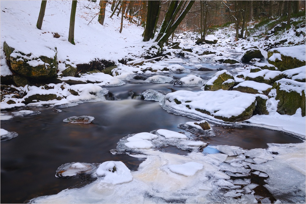 Winter in den Ardennen