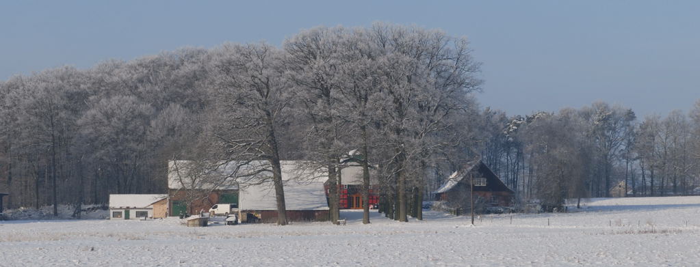 Winter in OWL