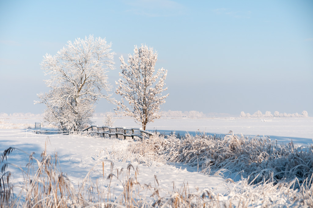 Winter in Wiemsdorf 4