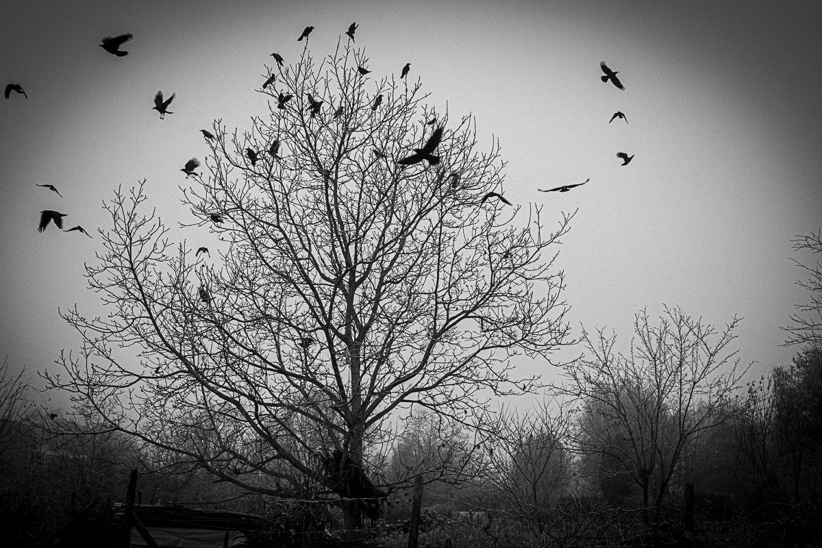 Winter is coming.