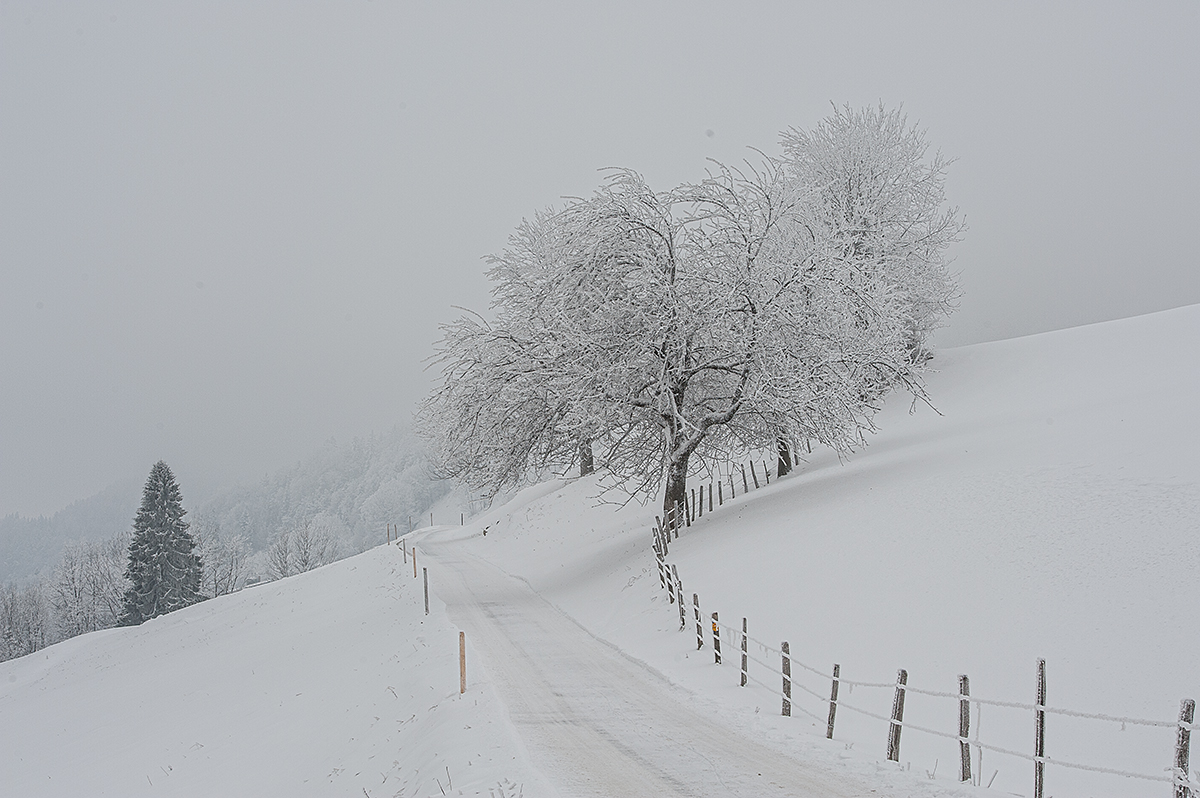Winter.jpg