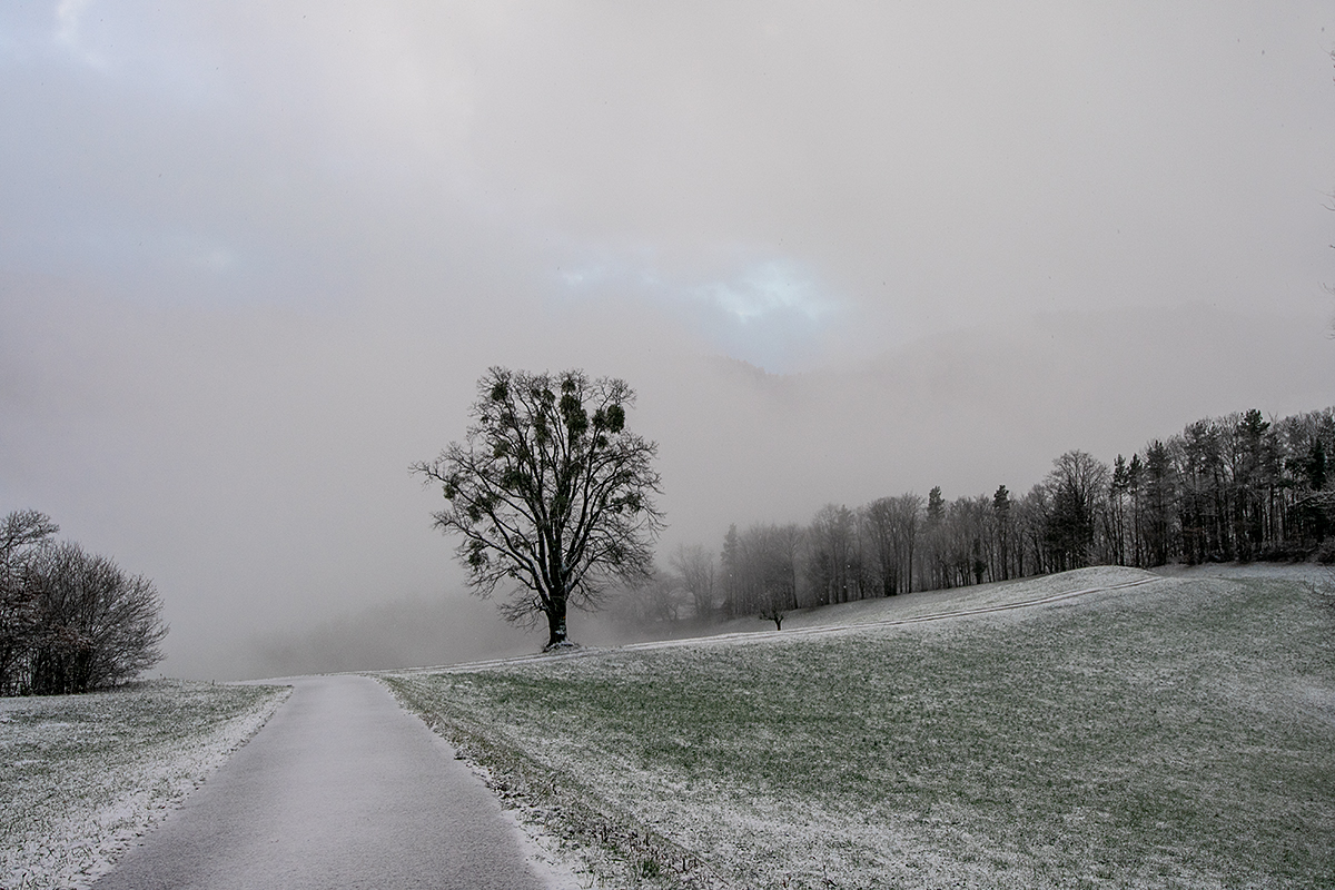 Winter.jpg