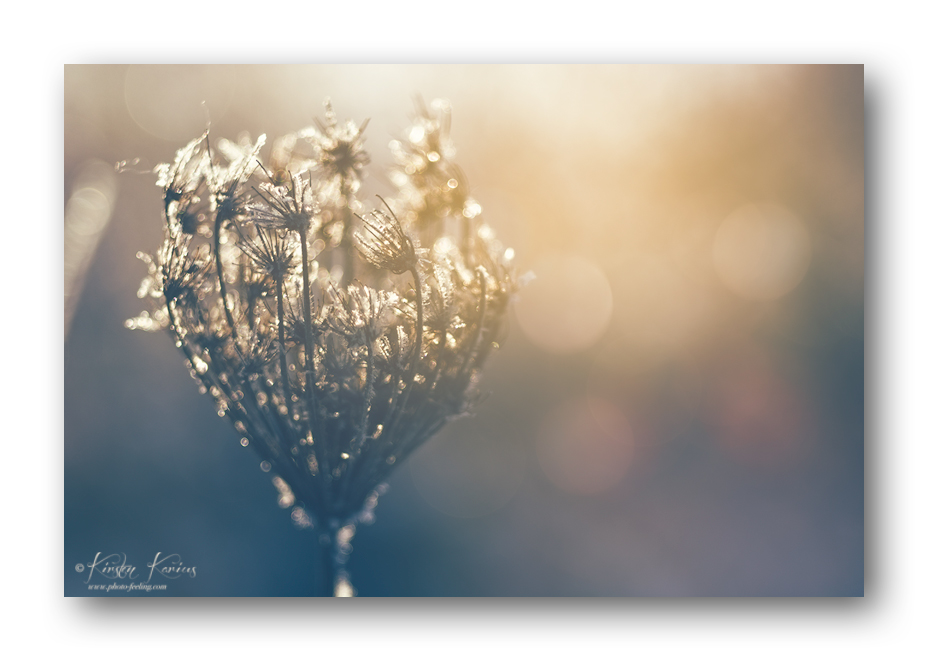 Winter-Light
