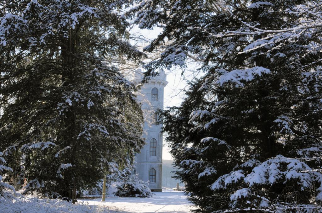 Winter - Pfaueninsel Ruine