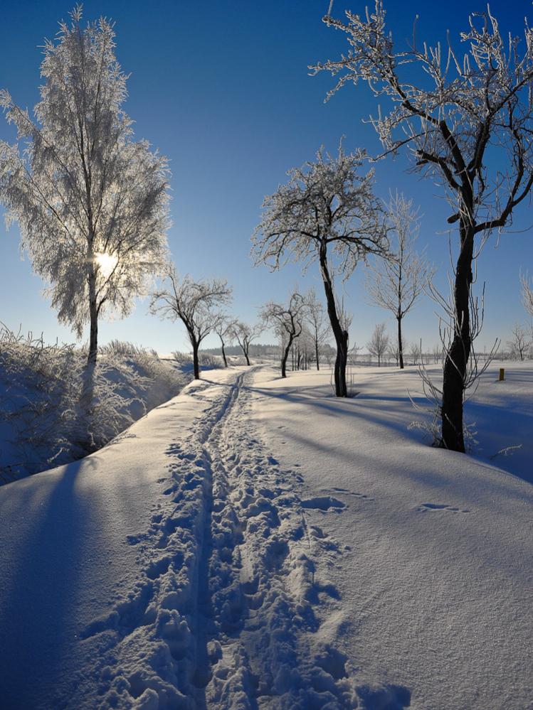 winter