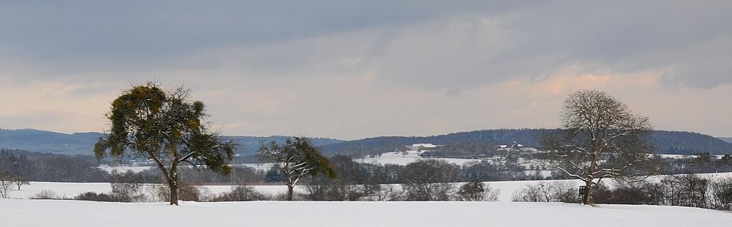 Winter001