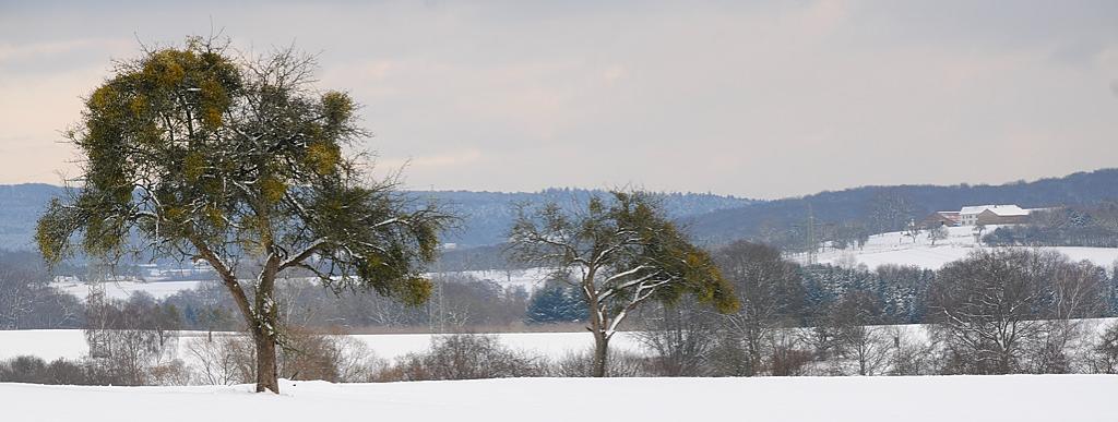 Winter002