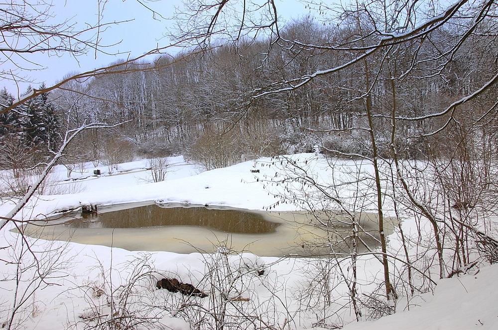 Winter002