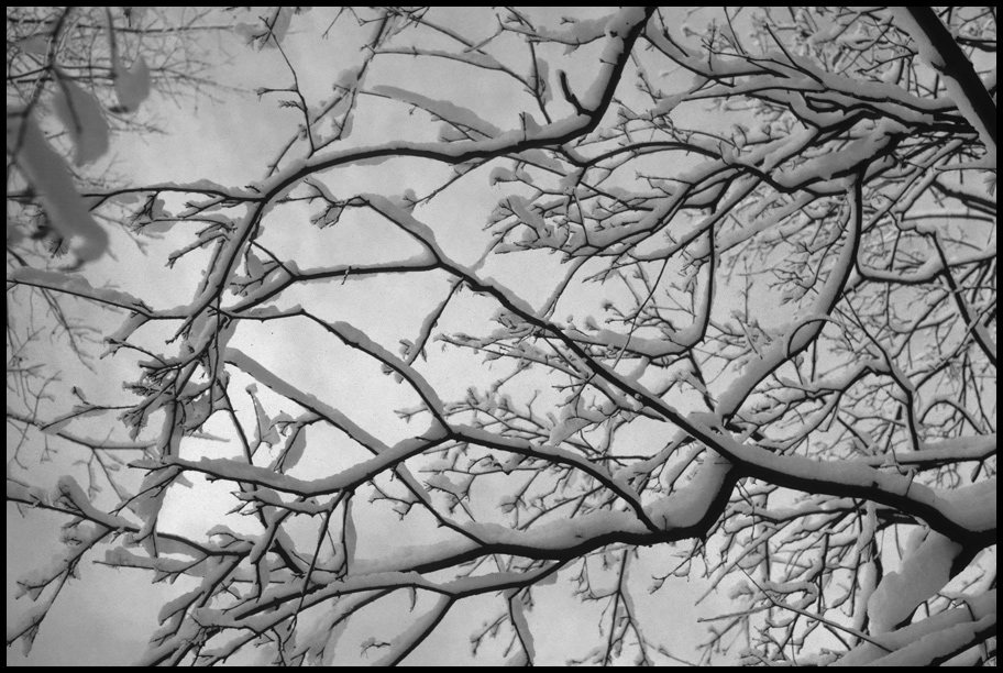 Winter1