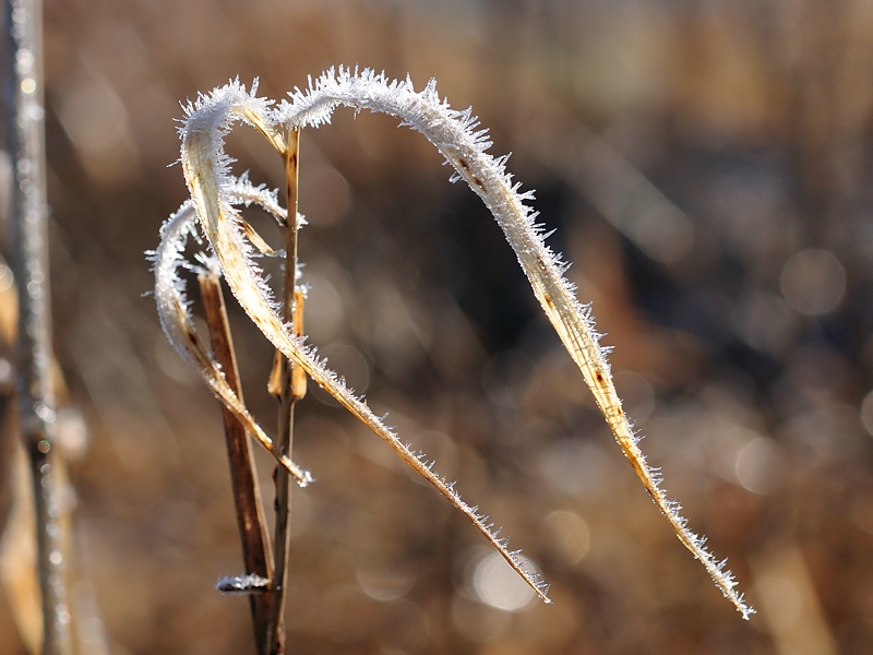 winter19