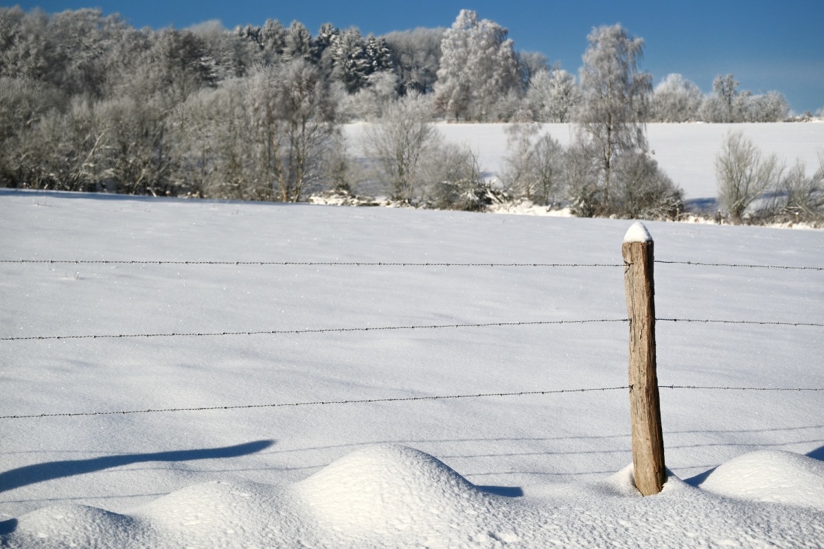 Winter24_1-01.JPG