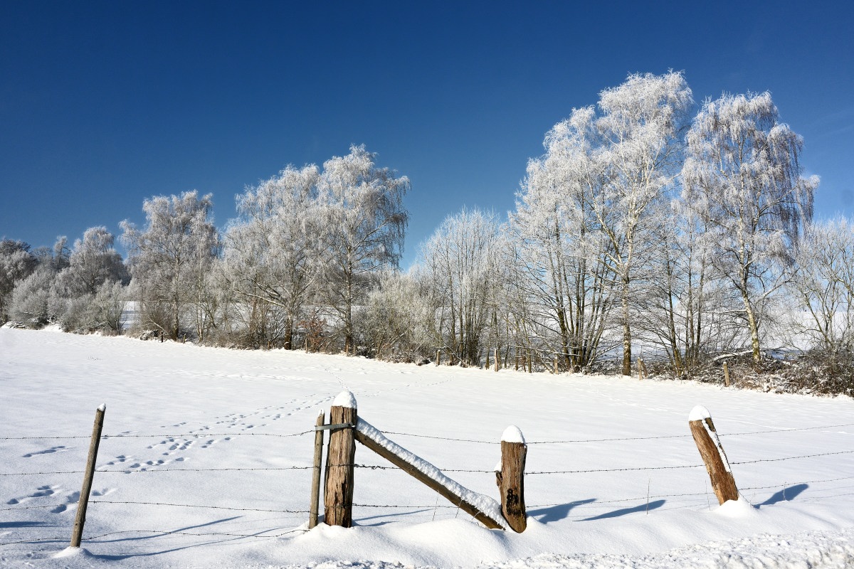 Winter24_1-02.JPG