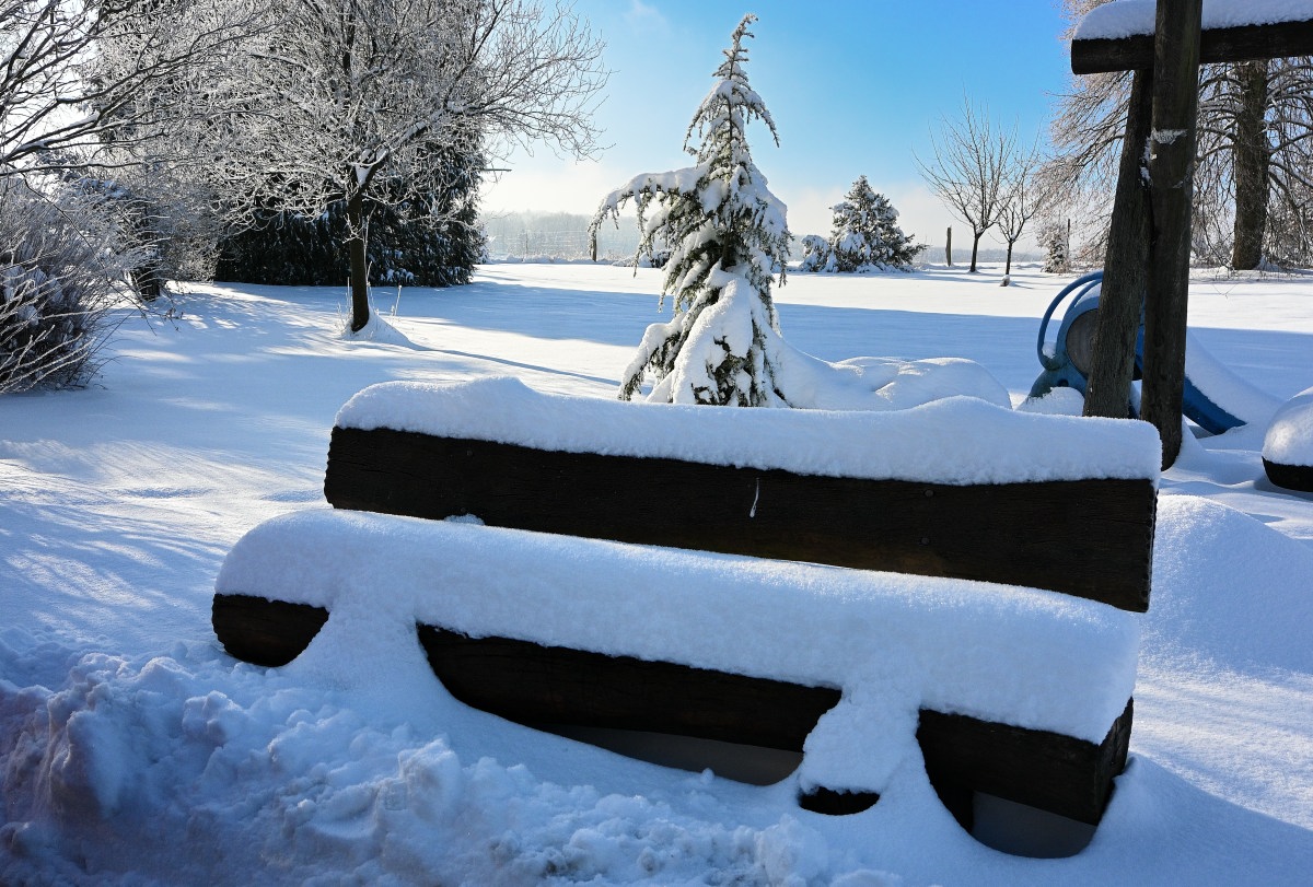 Winter24_1-03.JPG
