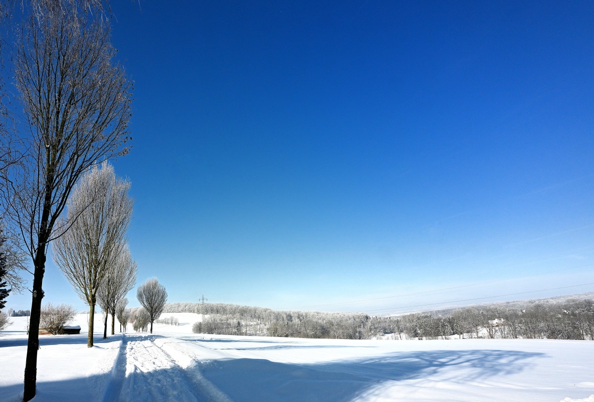 Winter24_1-04.JPG