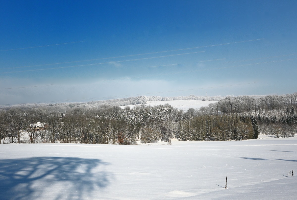 Winter24_1-05.JPG