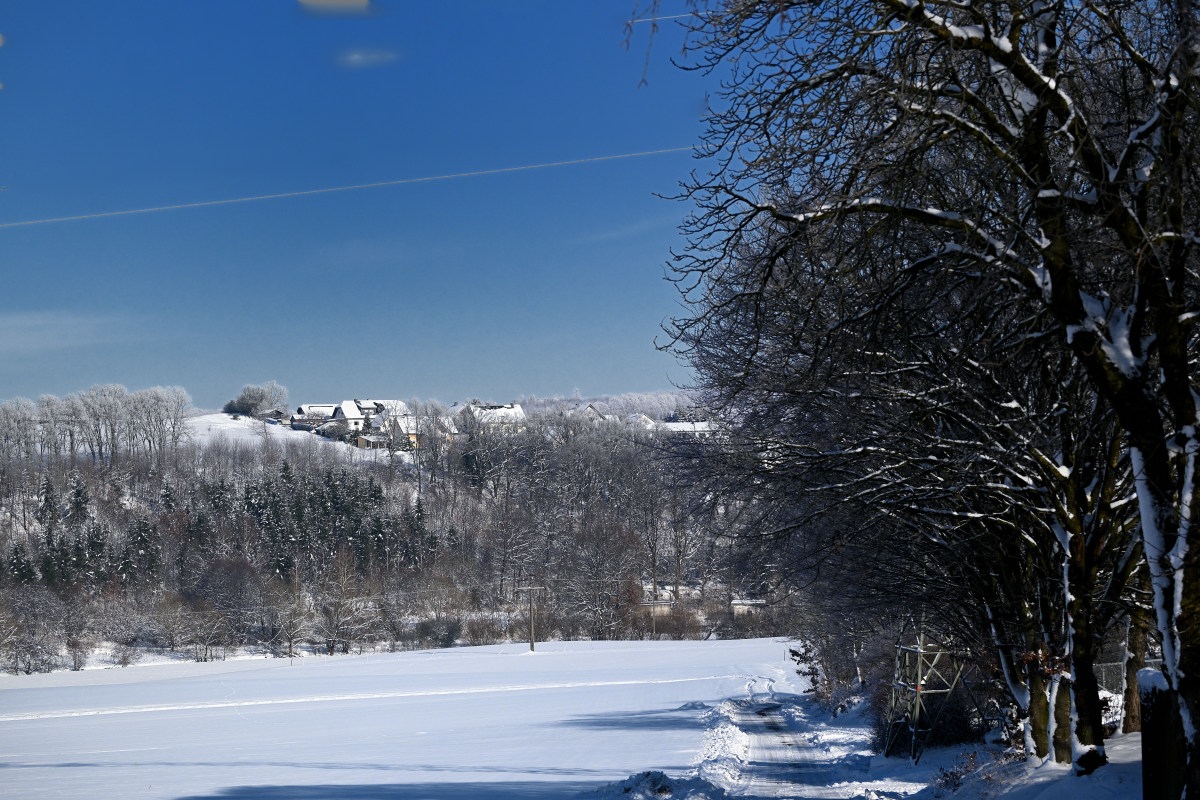 Winter24_1-07.JPG