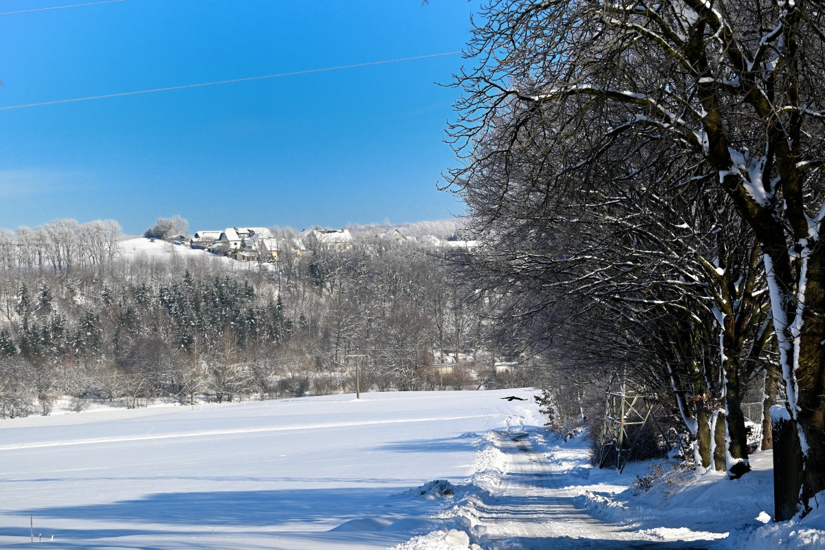 Winter24_1-08.JPG