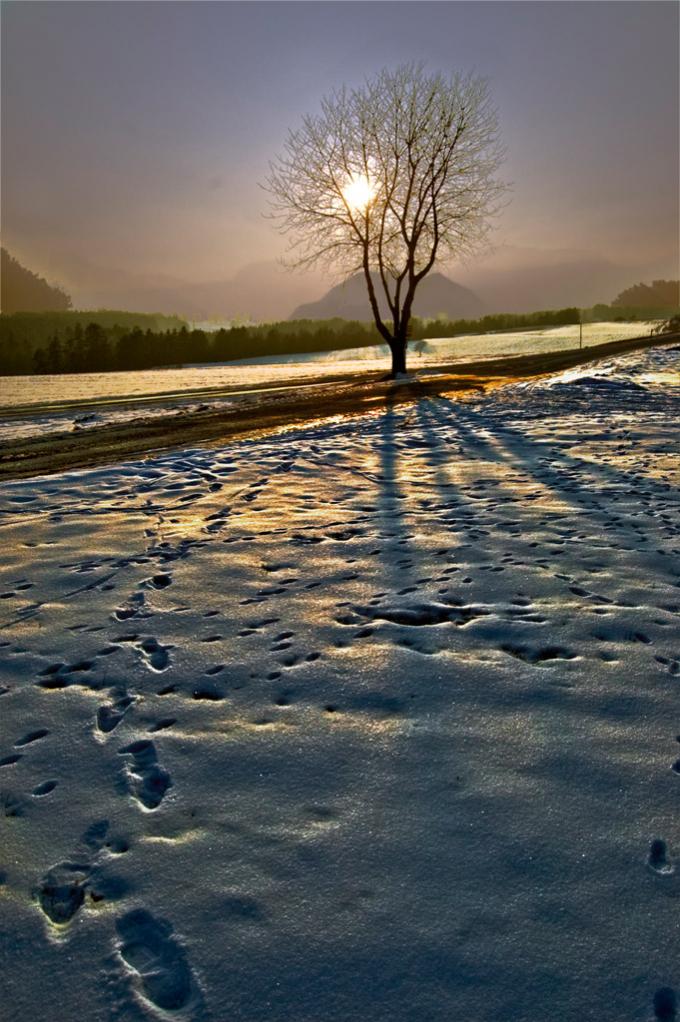 Winterabend DSC8744 1
In Wildermieming am Mieminger Plateau (Tirol)