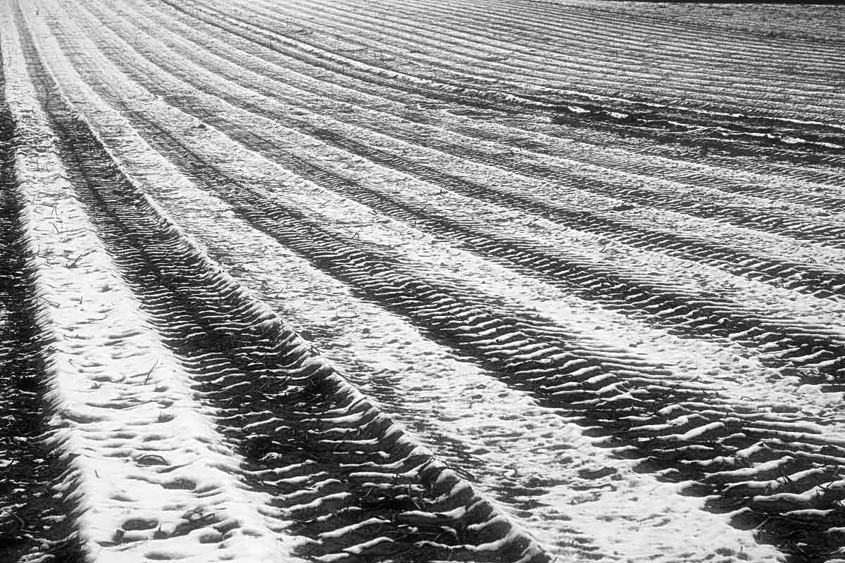 Winteracker BW.jpg