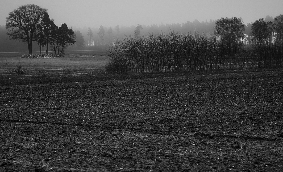 Winteracker