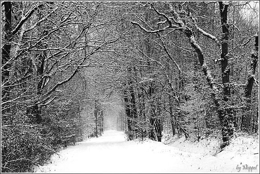 Winterbild