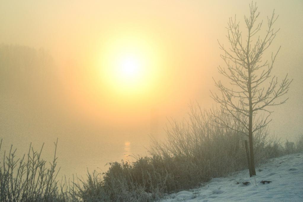 winterbild