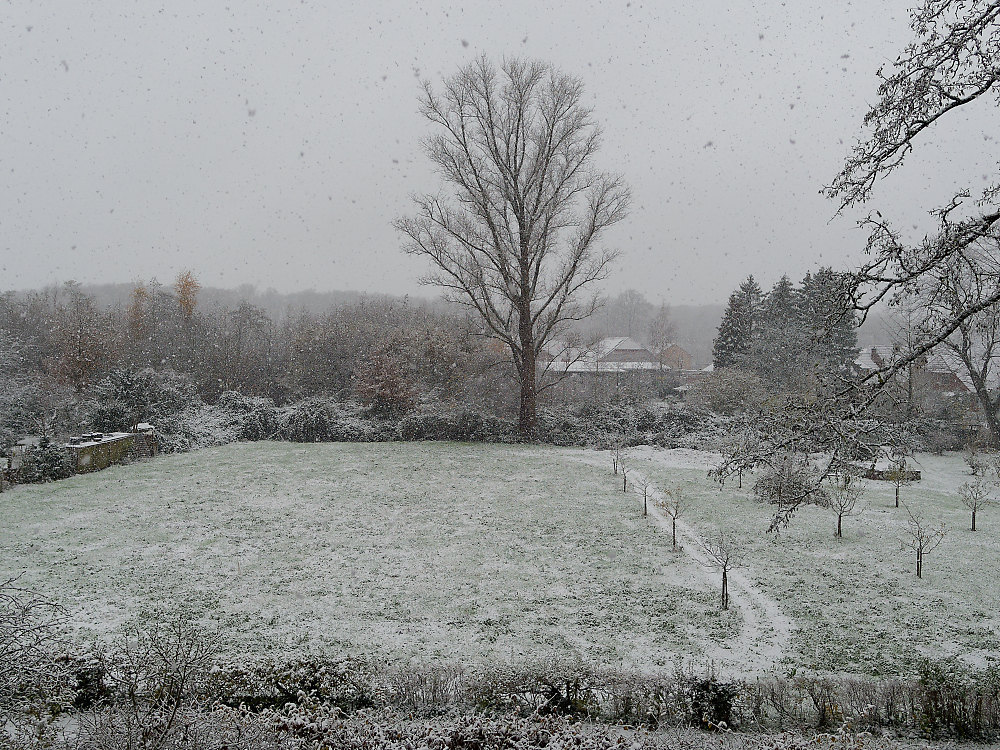 Wintereinbruch.jpg