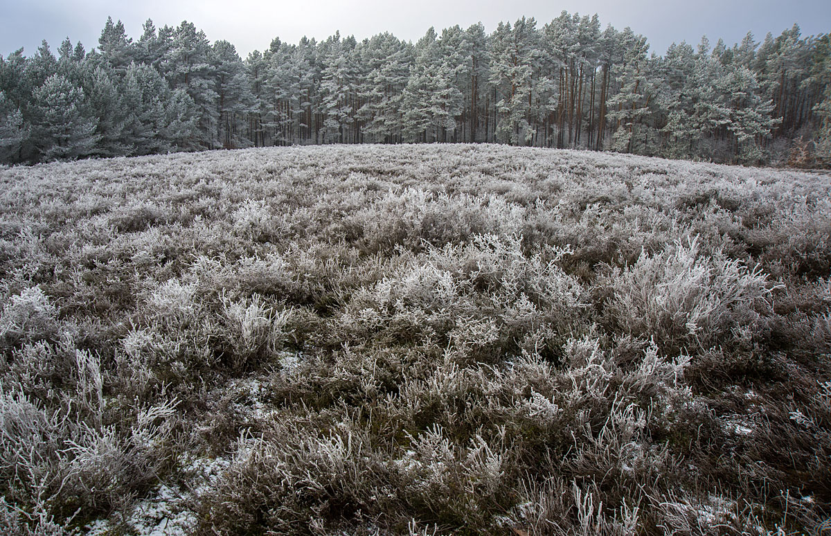 Winterheide